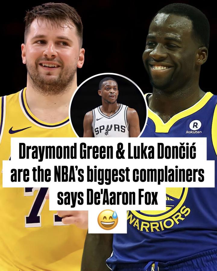 节目主持人 节目主持人